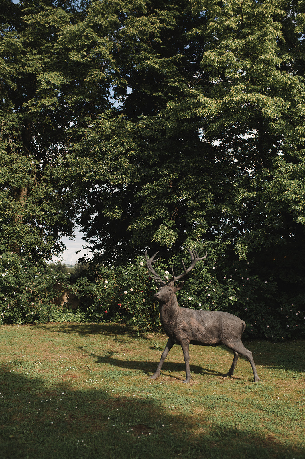 Hofgut-Luisenlust-bronze-statue-hirsch