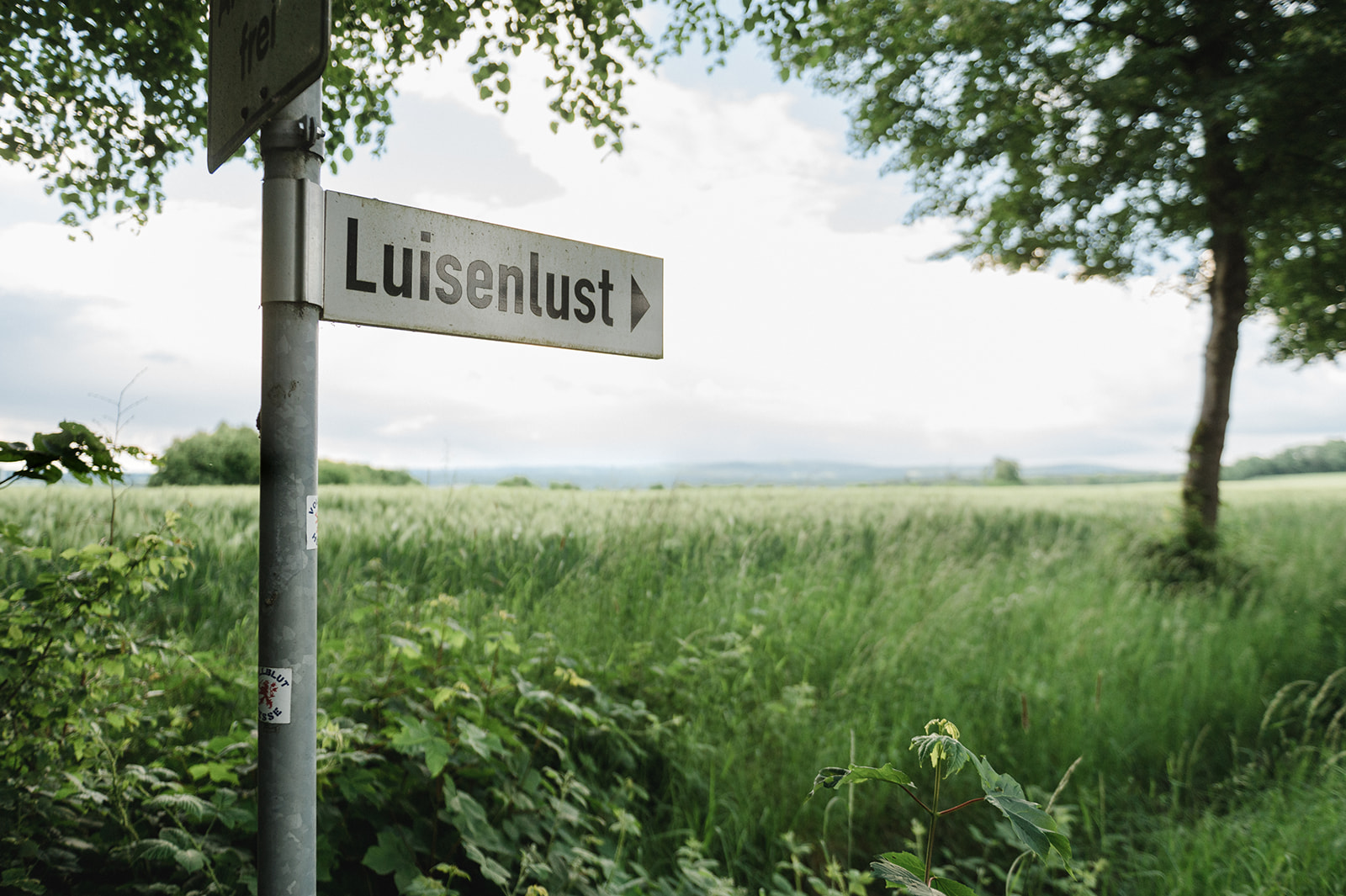 Hofgut Luisenlust strassenschild luisenlust